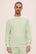 Model is wearing French Terry Sweatshirt in Matcha