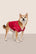 Model is wearing Gisele Printed TENCEL™ Modal Pet PJ  in Nutcracker Holly Red/Ivory