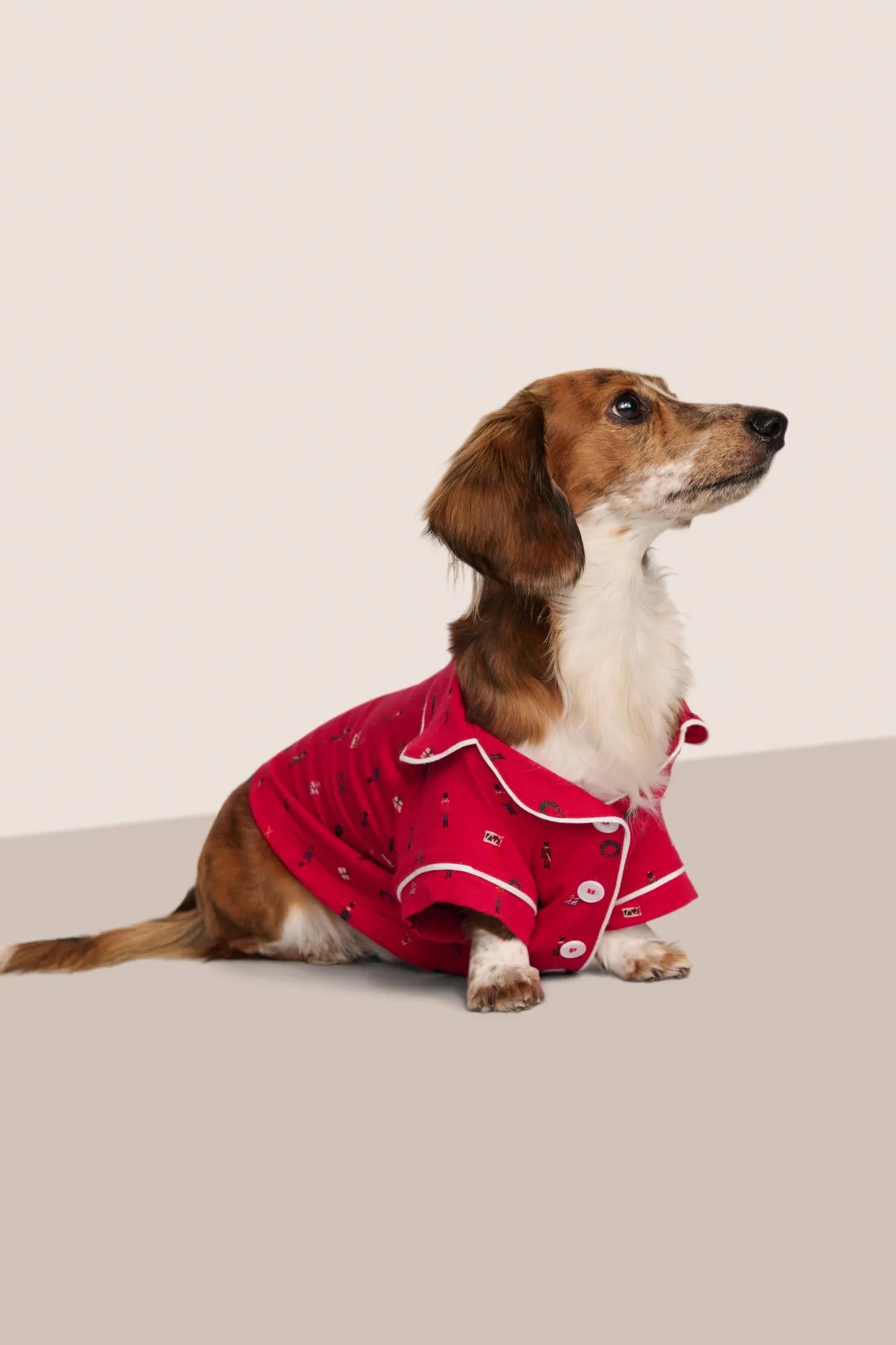 Model is wearing Gisele Printed TENCEL™ Modal Pet PJ  in Nutcracker Holly Red/Ivory