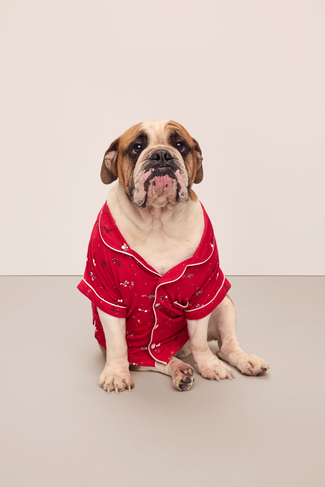 Dog wearing a red printed pet pajama