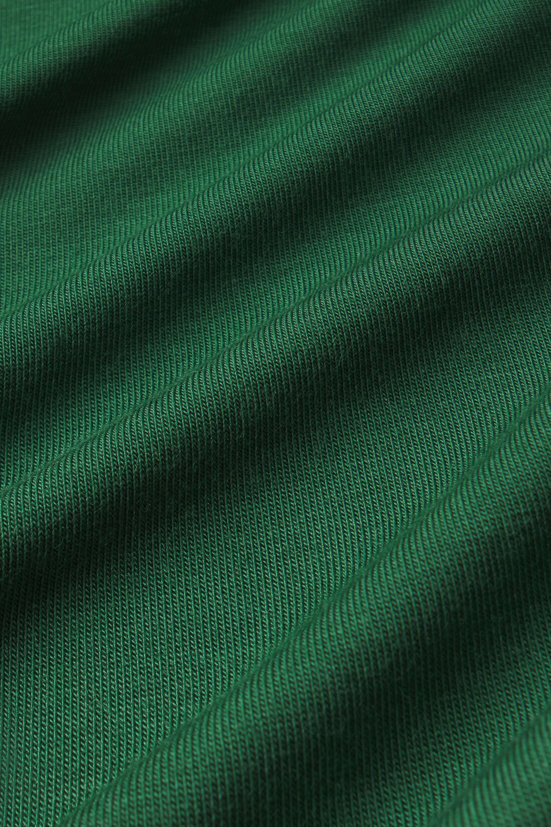 Image of Forest Green/Ivory fabric detail.