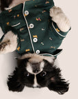 Model is wearing Gisele Printed TENCEL™ Modal Pet PJ  in Holiday Dogs Pine/Ivory