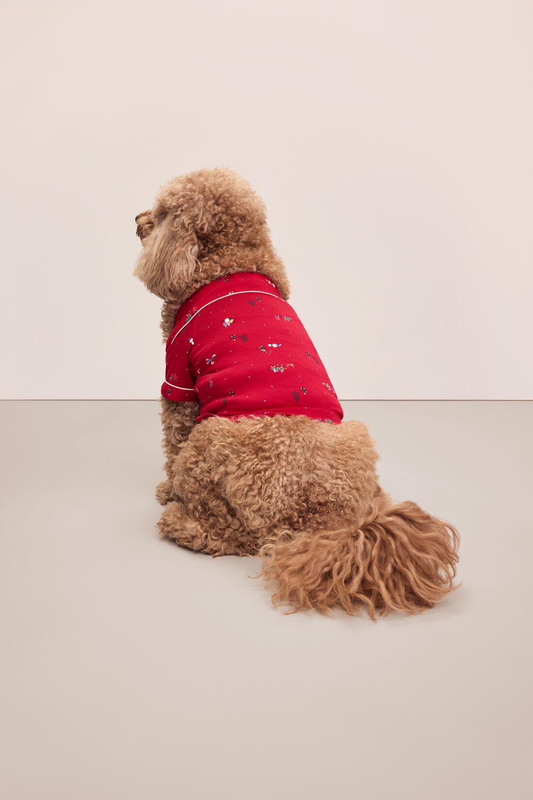 Sitting dog wearing a red festive printed pajama