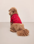 Sitting dog wearing a red festive printed pajama