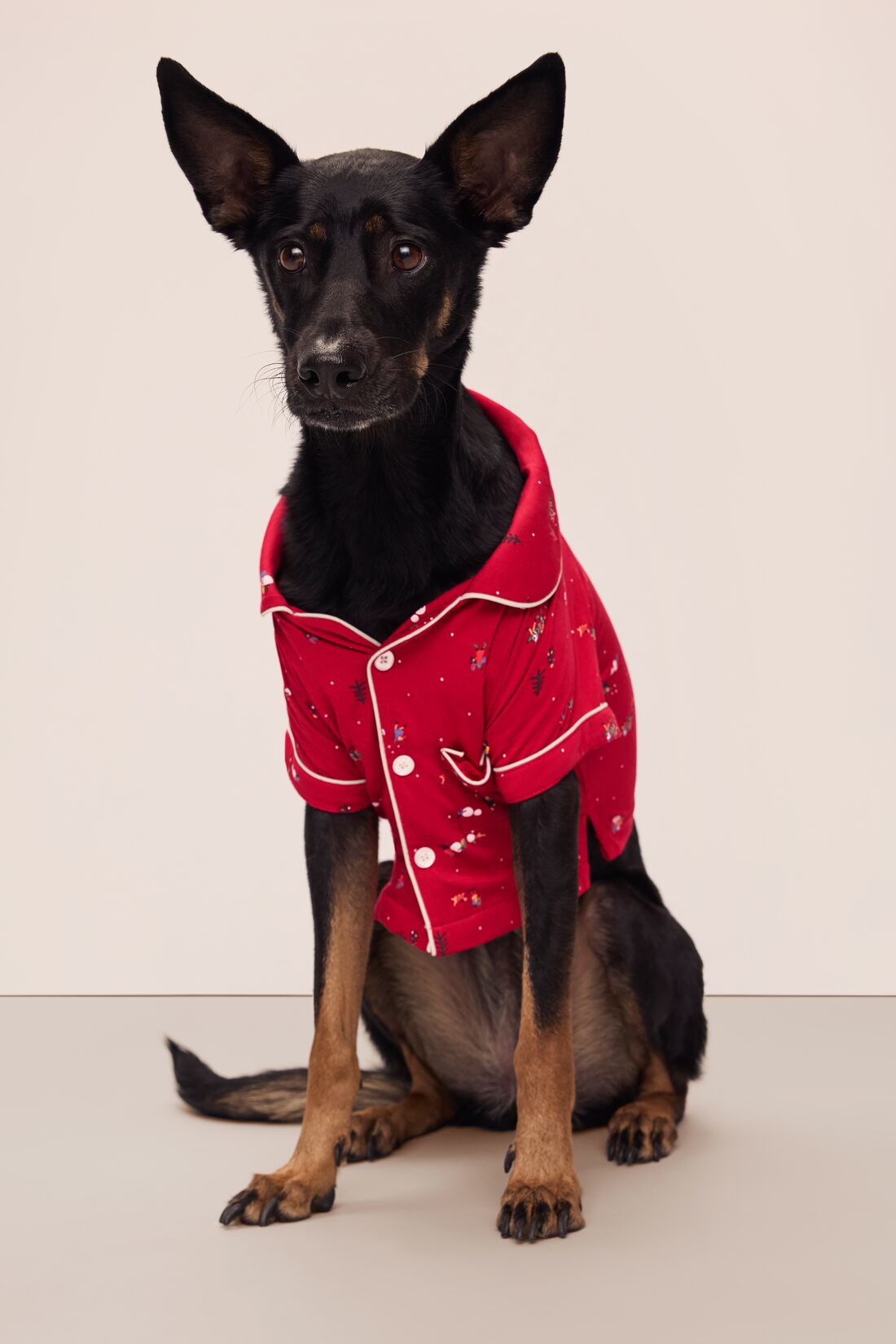 Sitting dog wearing a red festive printed pajama