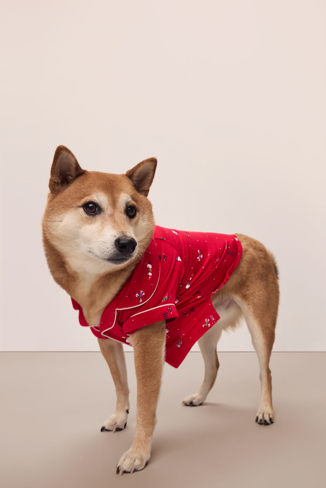 Dog wearing a red festive printed pajama