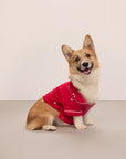 Sitting dog wearing a red festive printed pajama