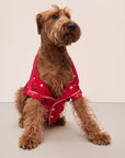 Sitting dog wearing a red festive printed pajama