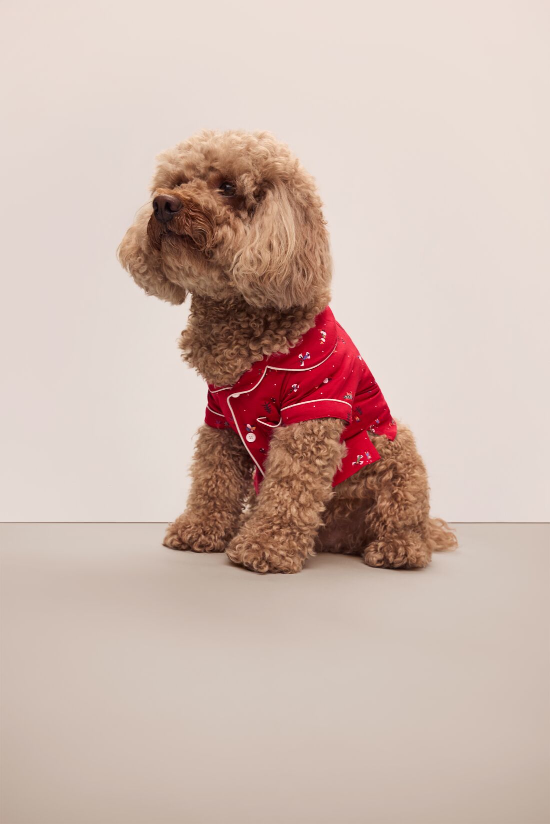 Sitting dog wearing a red festive printed pajama