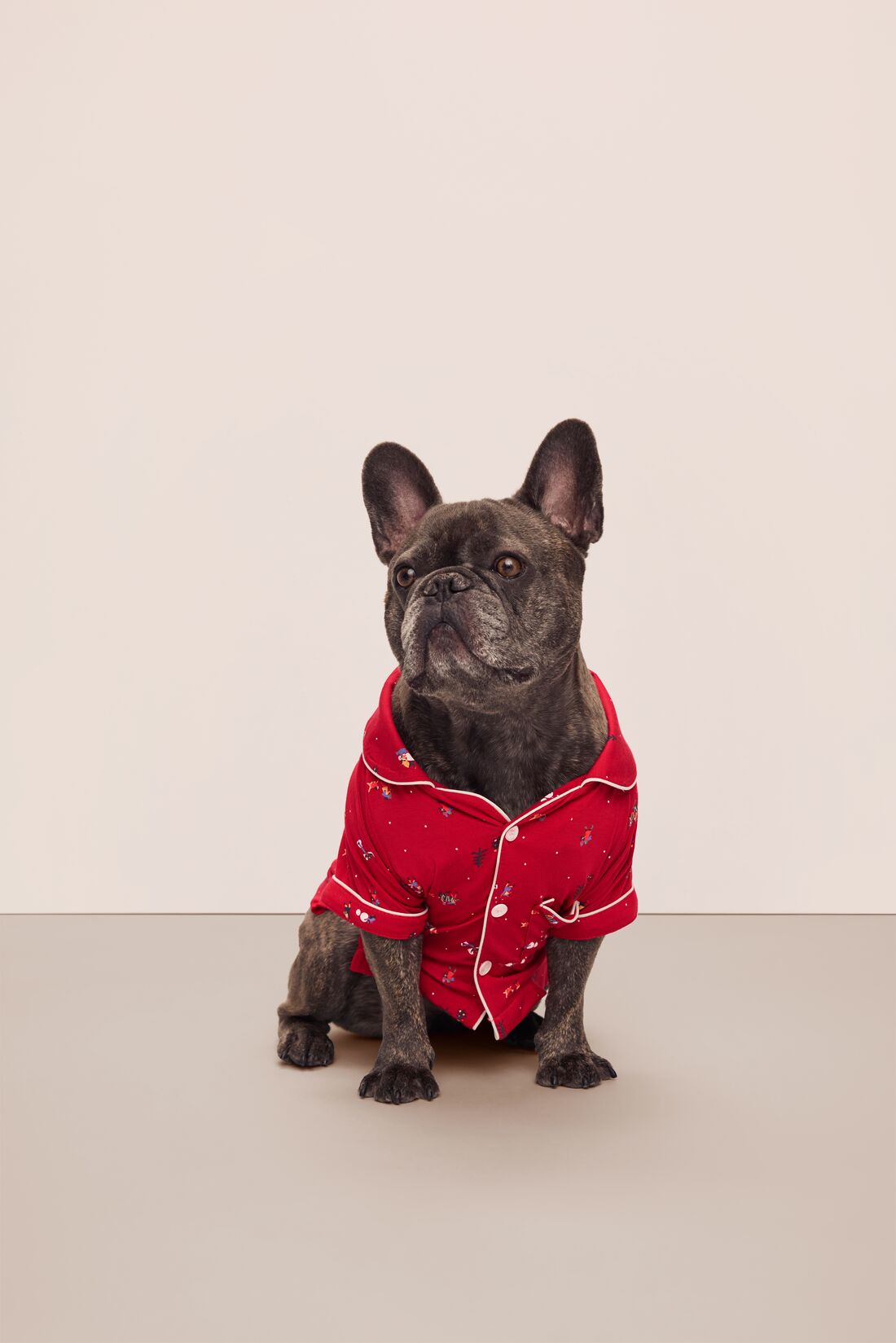 French Bulldog sitting in a red festive printed pajama.