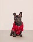 French Bulldog sitting in a red festive printed pajama.