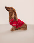 Sitting dog wearing a red festive printed pajama