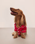 Sitting dog wearing a red festive printed pajama