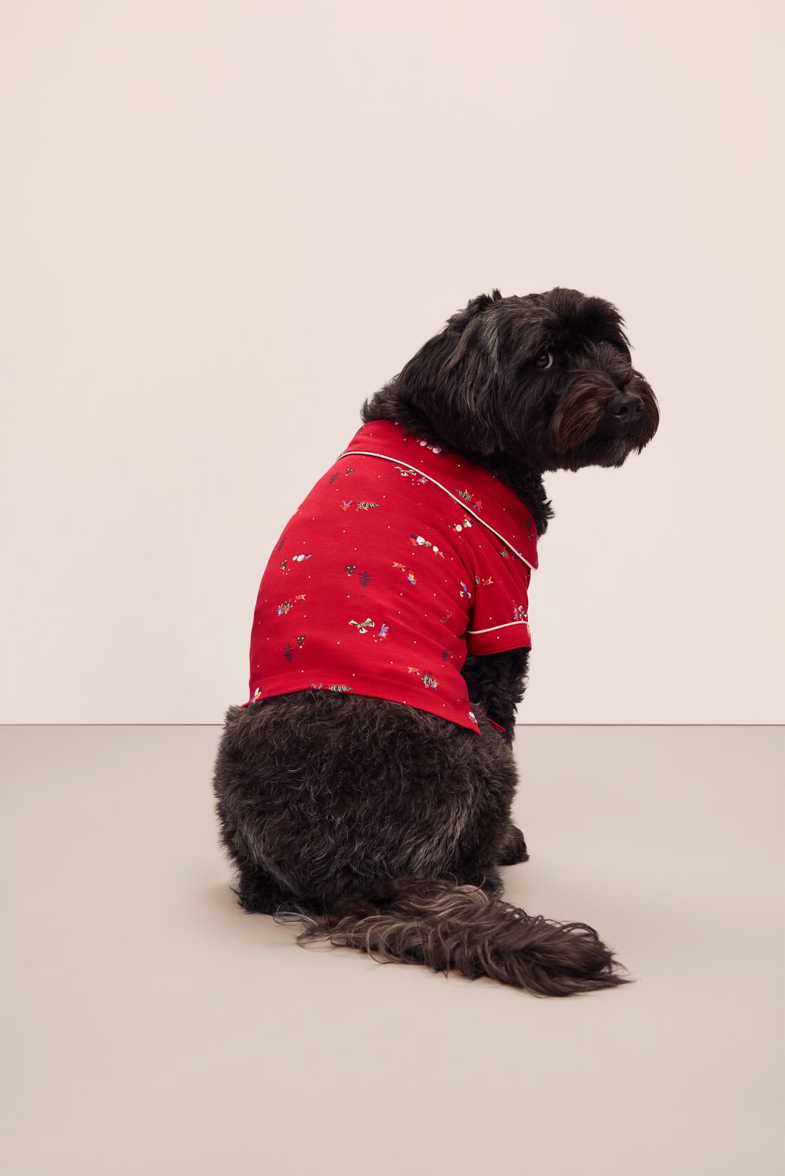 Sitting dog wearing a red festive printed pajama