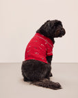 Sitting dog wearing a red festive printed pajama