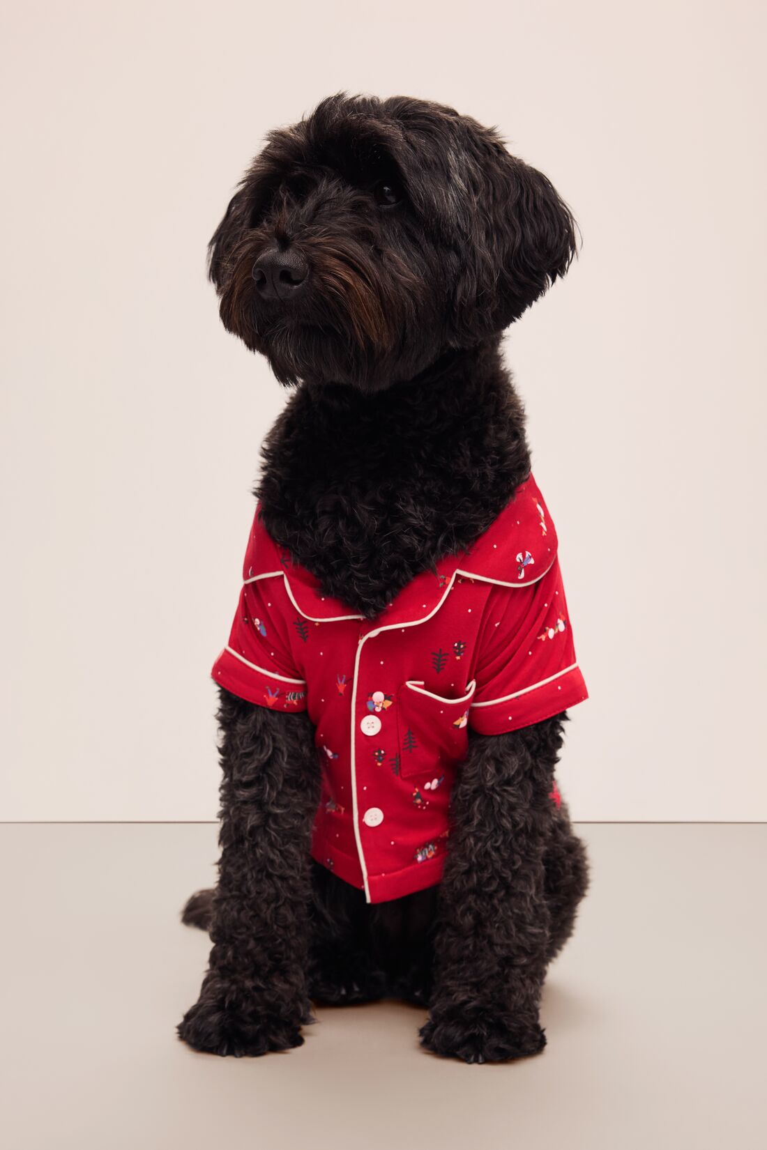 Sitting dog wearing a red festive printed pajama