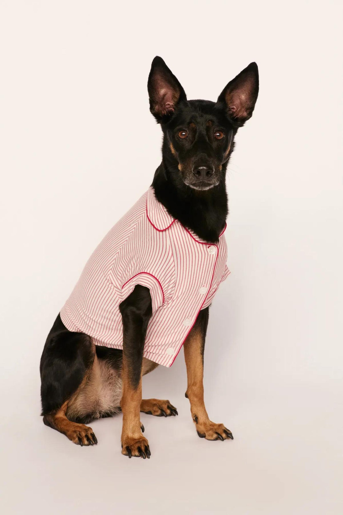 Model is wearing Gisele Printed TENCEL™ Modal Pet PJ in Duo Stripe Hollyred/Hollyred