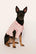 Model is wearing Gisele Printed TENCEL™ Modal Pet PJ in Duo Stripe Hollyred/Hollyred
