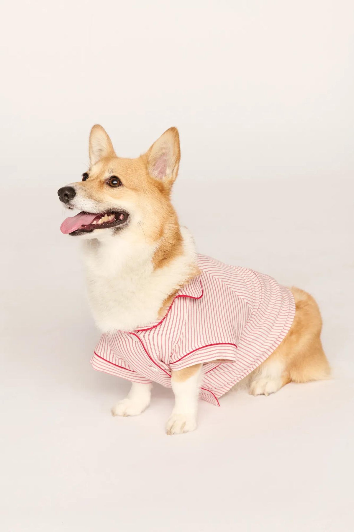 Model is wearing Gisele Printed TENCEL™ Modal Pet PJ in Duo Stripe Hollyred/Hollyred