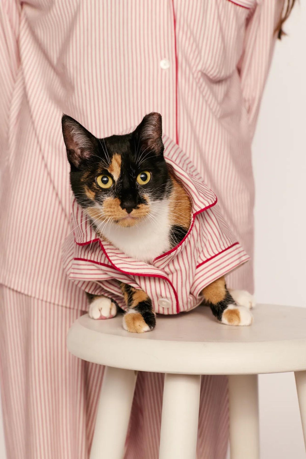 Model is wearing Gisele Printed TENCEL™ Modal Pet PJ in Duo Stripe Hollyred/Hollyred