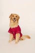 Model is wearing Gisele Printed TENCEL™ Modal Pet PJ in Hollyberry Holly Red/Ivory