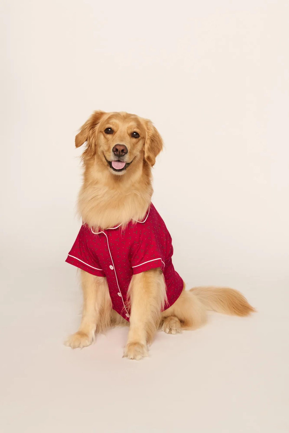 Model is wearing Gisele Printed TENCEL™ Modal Pet PJ in Hollyberry Holly Red/Ivory