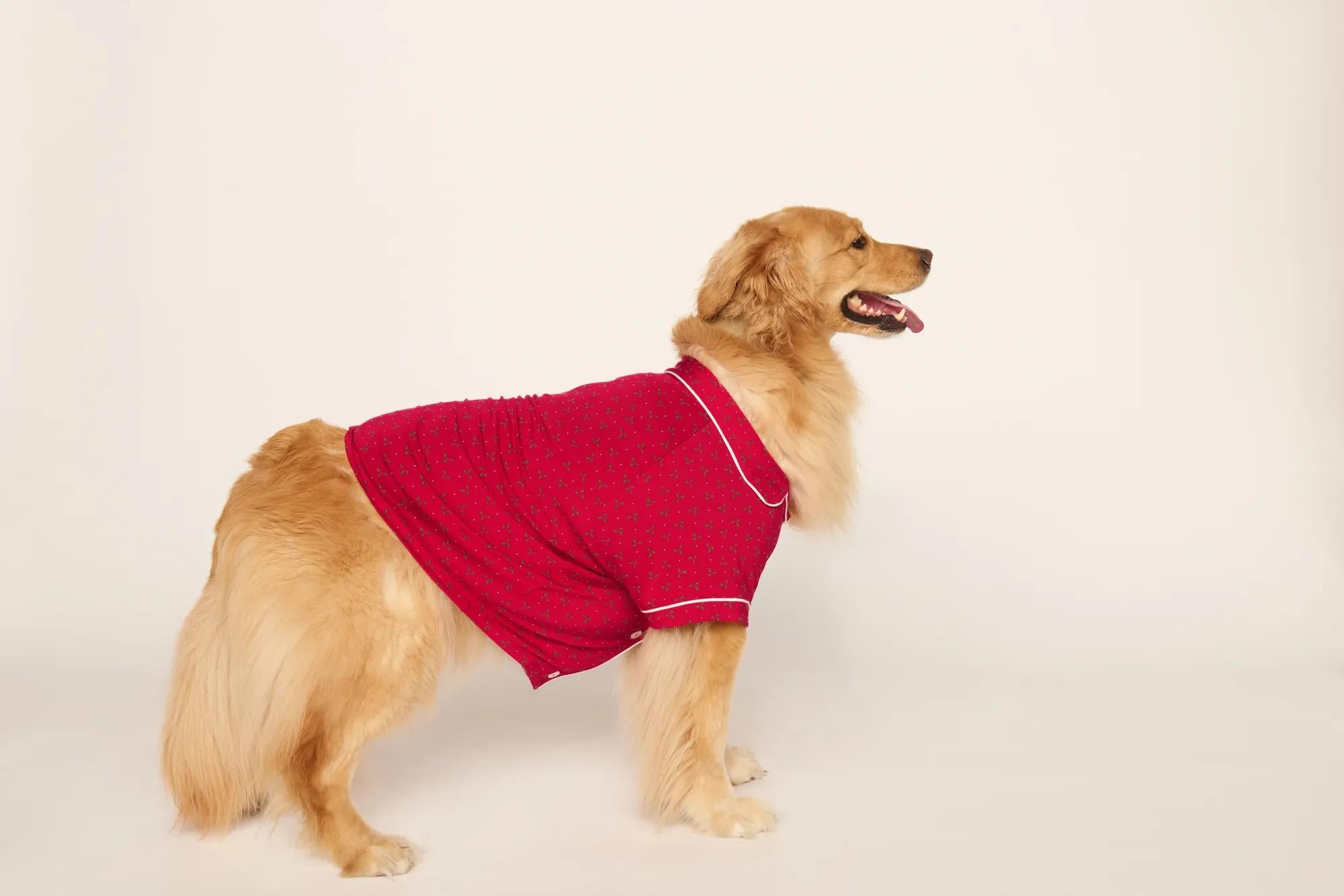 Model is wearing Gisele Printed TENCEL™ Modal Pet PJ in Hollyberry Holly Red/Ivory