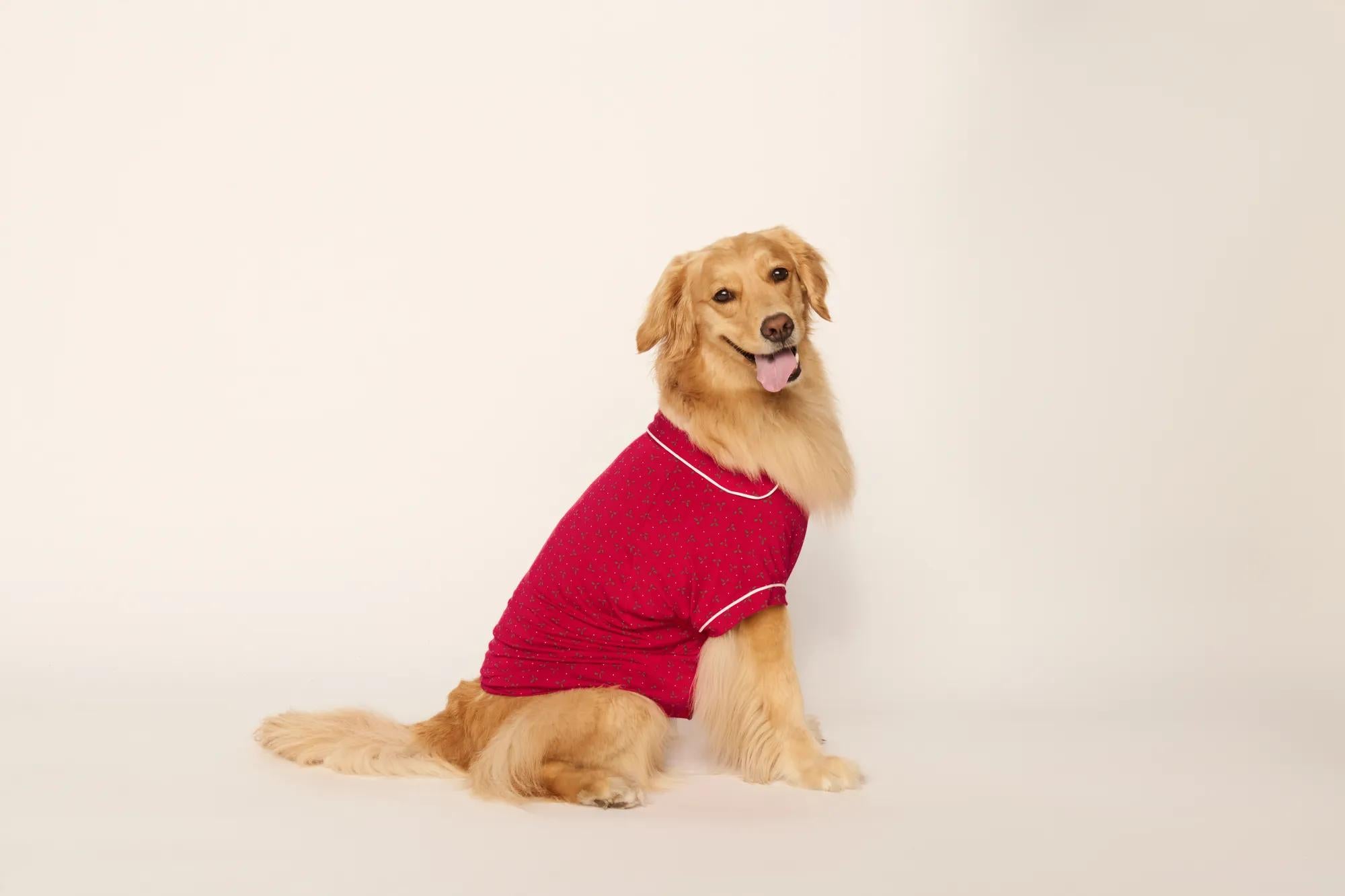 Model is wearing Gisele Printed TENCEL™ Modal Pet PJ in Hollyberry Holly Red/Ivory