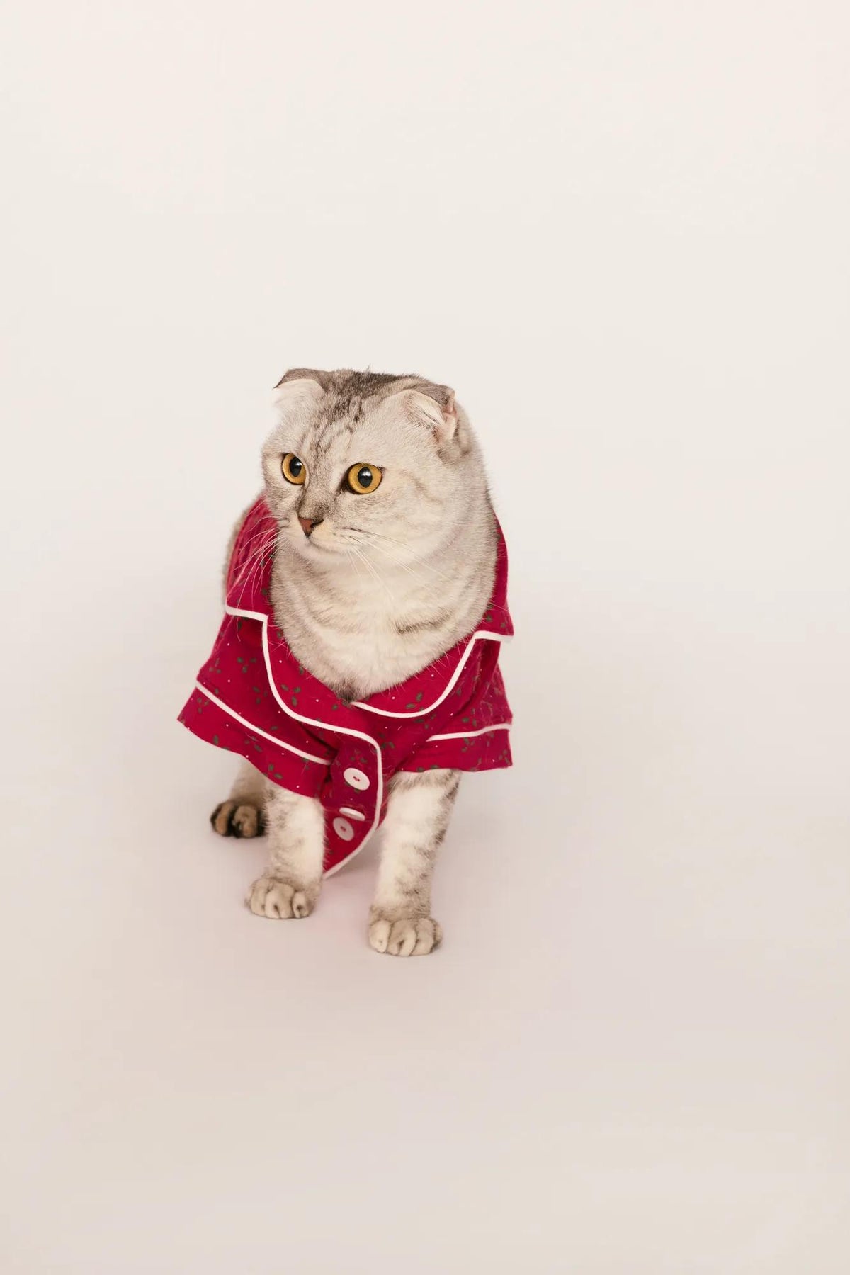 Model is wearing Gisele Printed TENCEL™ Modal Pet PJ in Hollyberry Holly Red/Ivory