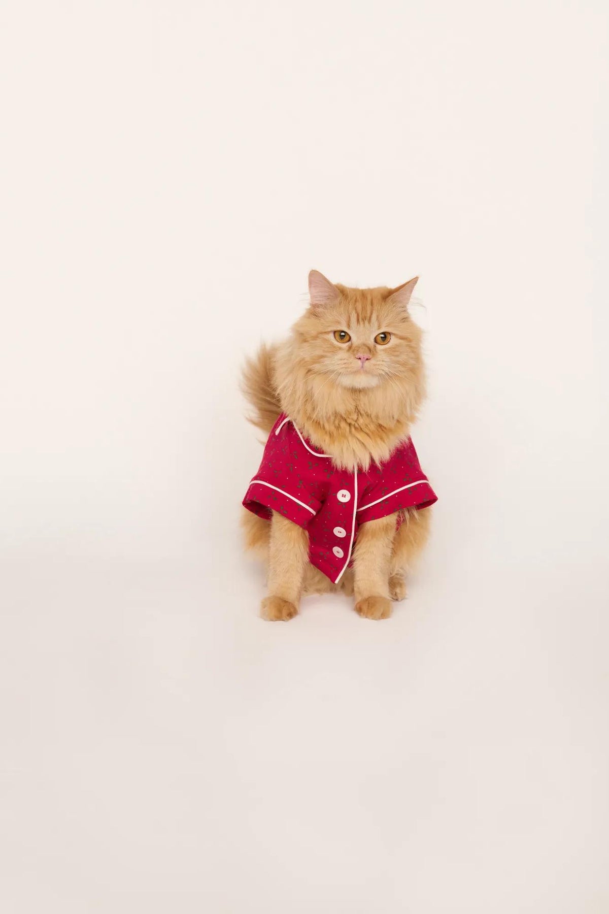 Model is wearing Gisele Printed TENCEL™ Modal Pet PJ in Hollyberry Holly Red/Ivory