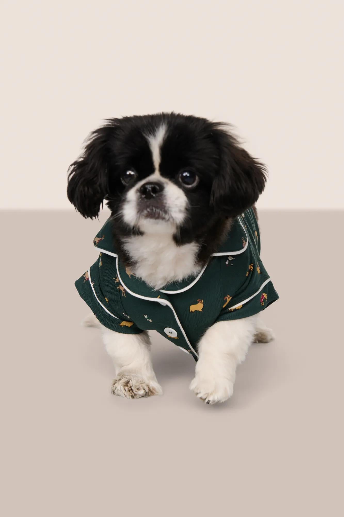 Model is wearing Gisele Printed TENCEL™ Modal Pet PJ  in Holiday Dogs Pine/Ivory
