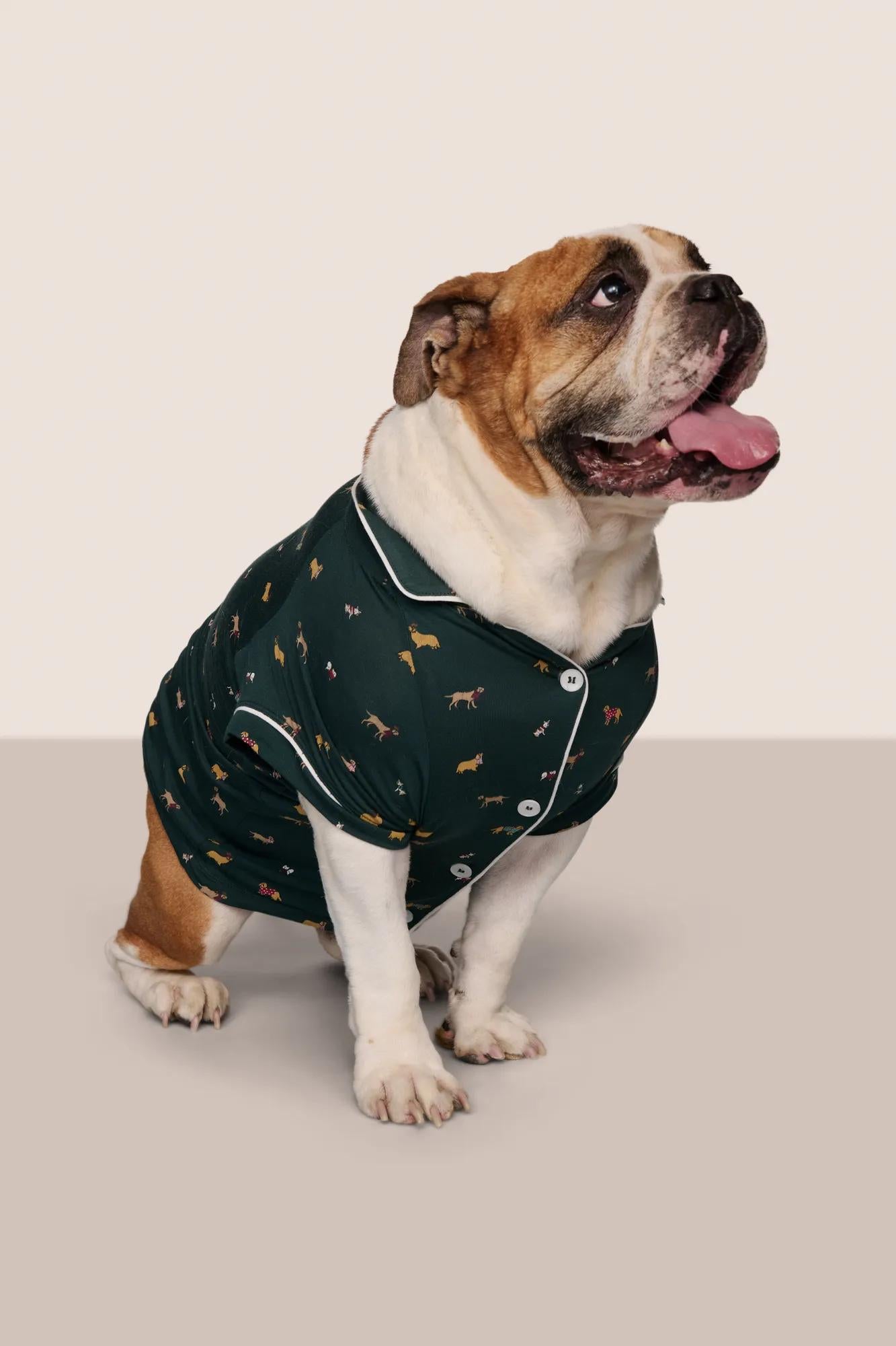 Model is wearing Gisele Printed TENCEL™ Modal Pet PJ  in Holiday Dogs Pine/Ivory
