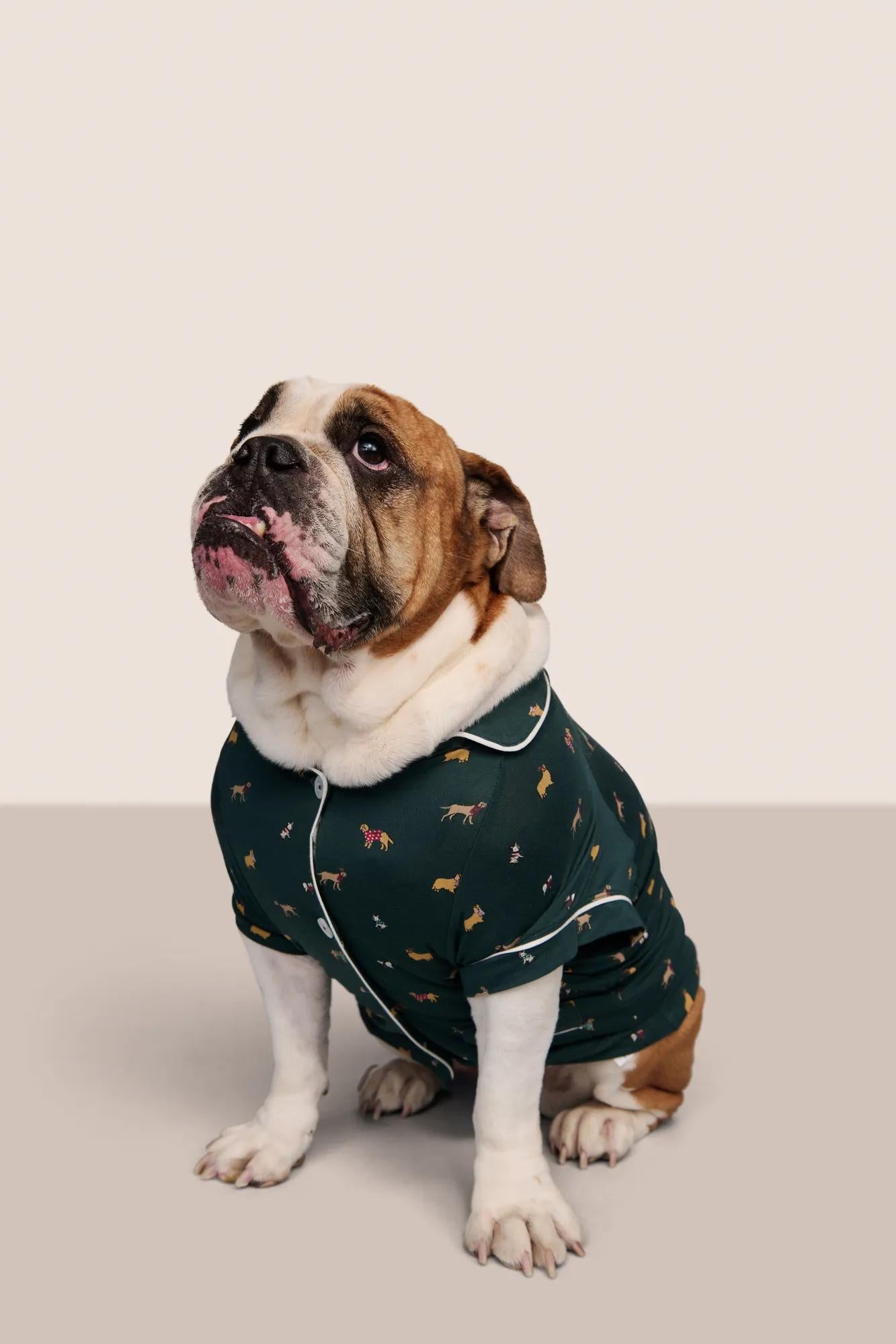 Model is wearing Gisele Printed TENCEL™ Modal Pet PJ  in Holiday Dogs Pine/Ivory