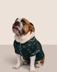 Model is wearing Gisele Printed TENCEL™ Modal Pet PJ  in Holiday Dogs Pine/Ivory