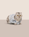 Model is wearing Gisele Printed TENCEL™ Modal Pet PJ  in Hannukah Glow Nouvean Navy/Ny
