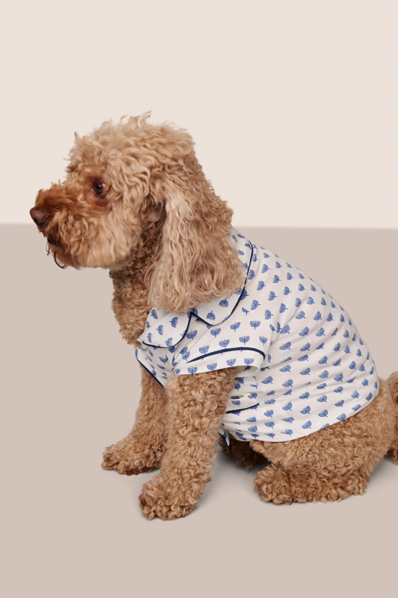Model is wearing Gisele Printed TENCEL™ Modal Pet PJ  in Hannukah Glow Nouvean Navy/Ny
