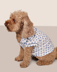 Model is wearing Gisele Printed TENCEL™ Modal Pet PJ  in Hannukah Glow Nouvean Navy/Ny