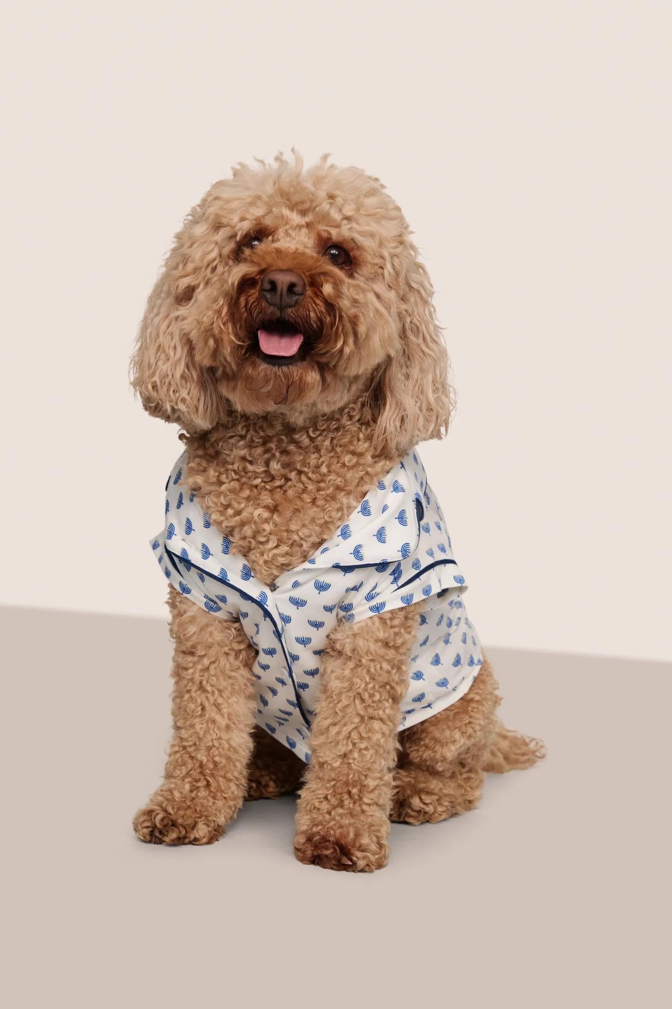Model is wearing Gisele Printed TENCEL™ Modal Pet PJ  in Hannukah Glow Nouvean Navy/Ny