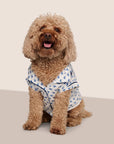 Model is wearing Gisele Printed TENCEL™ Modal Pet PJ  in Hannukah Glow Nouvean Navy/Ny