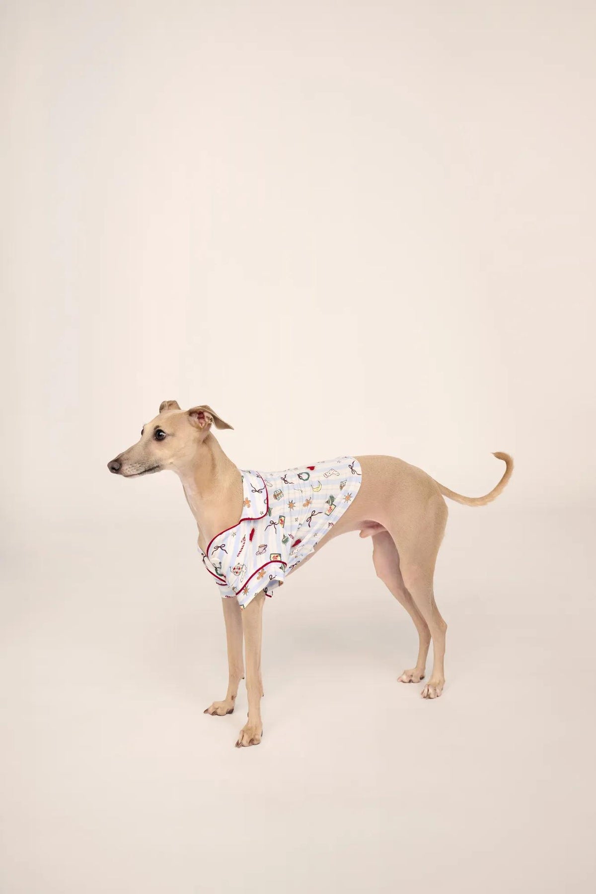 Pet is wearing Gisele Printed TENCEL™ Modal Pet PJ in Nordic Nights Lightblue/Deepcl