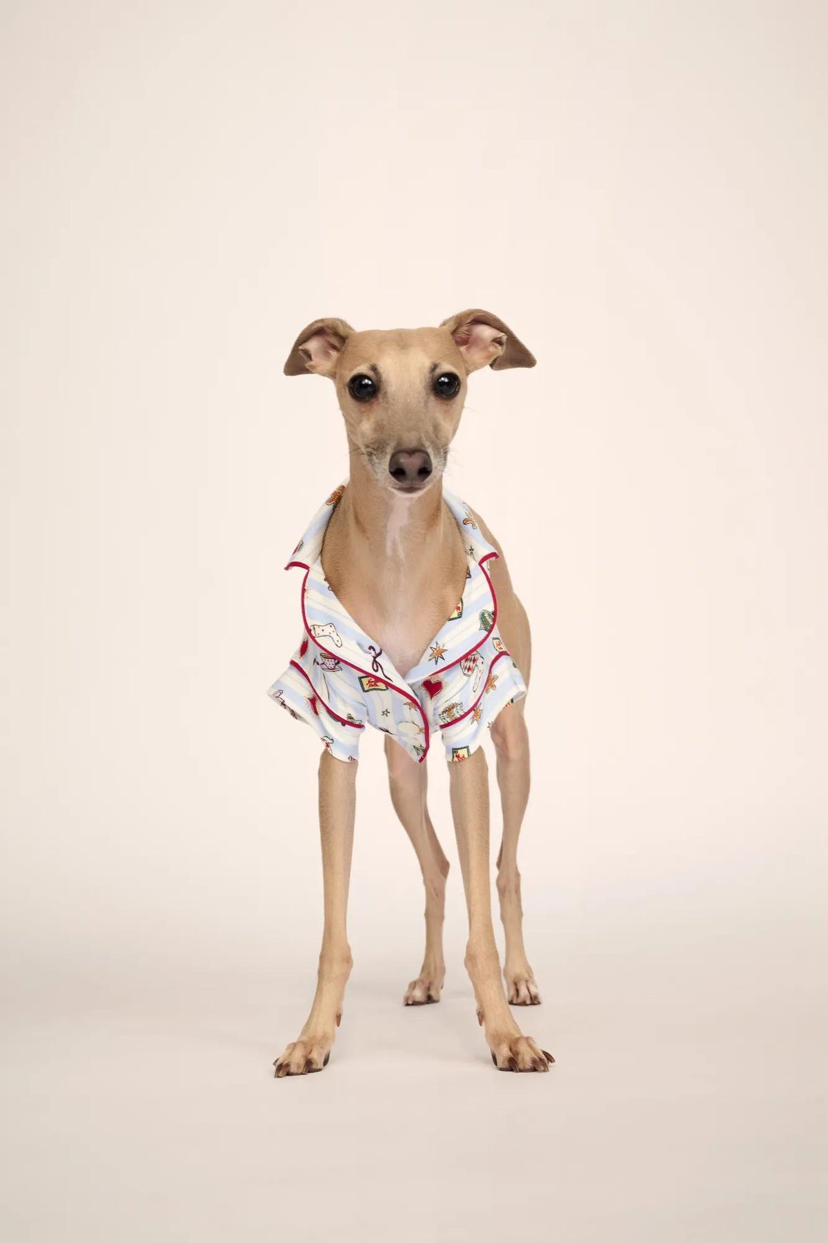 Pet is wearing Gisele Printed TENCEL™ Modal Pet PJ in Nordic Nights Lightblue/Deepcl