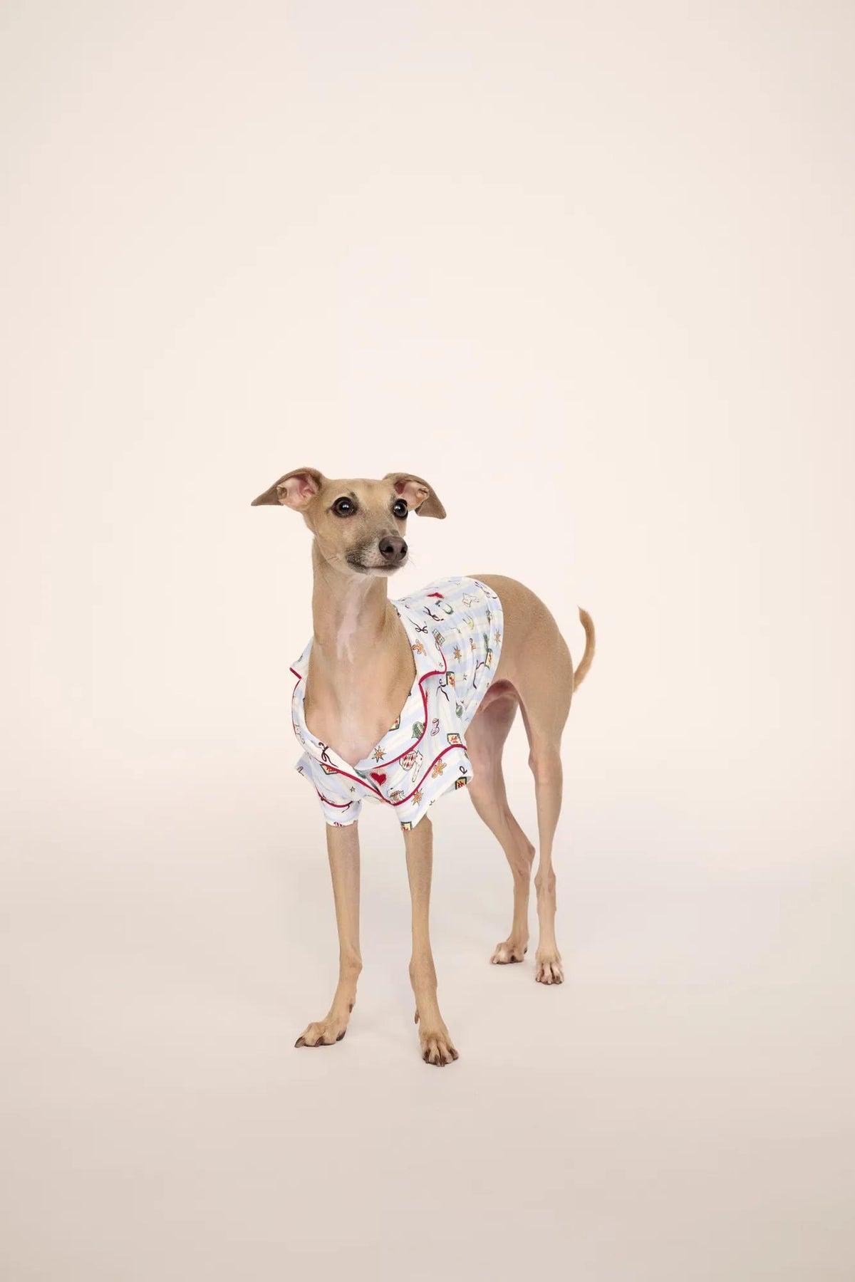 Pet is wearing Gisele Printed TENCEL™ Modal Pet PJ in Nordic Nights Lightblue/Deepcl