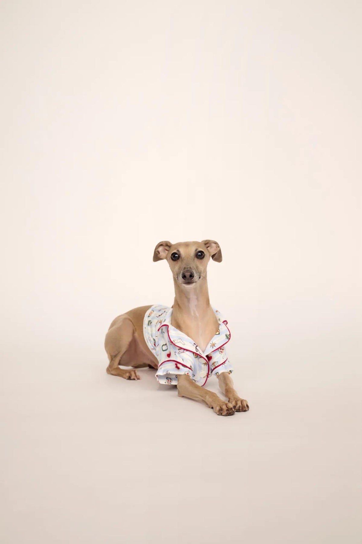 Pet is wearing Gisele Printed TENCEL™ Modal Pet PJ in Nordic Nights Lightblue/Deepcl