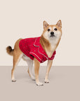 Model is wearing Gisele Printed TENCEL™ Modal Pet PJ  in Nutcracker Holly Red/Ivory