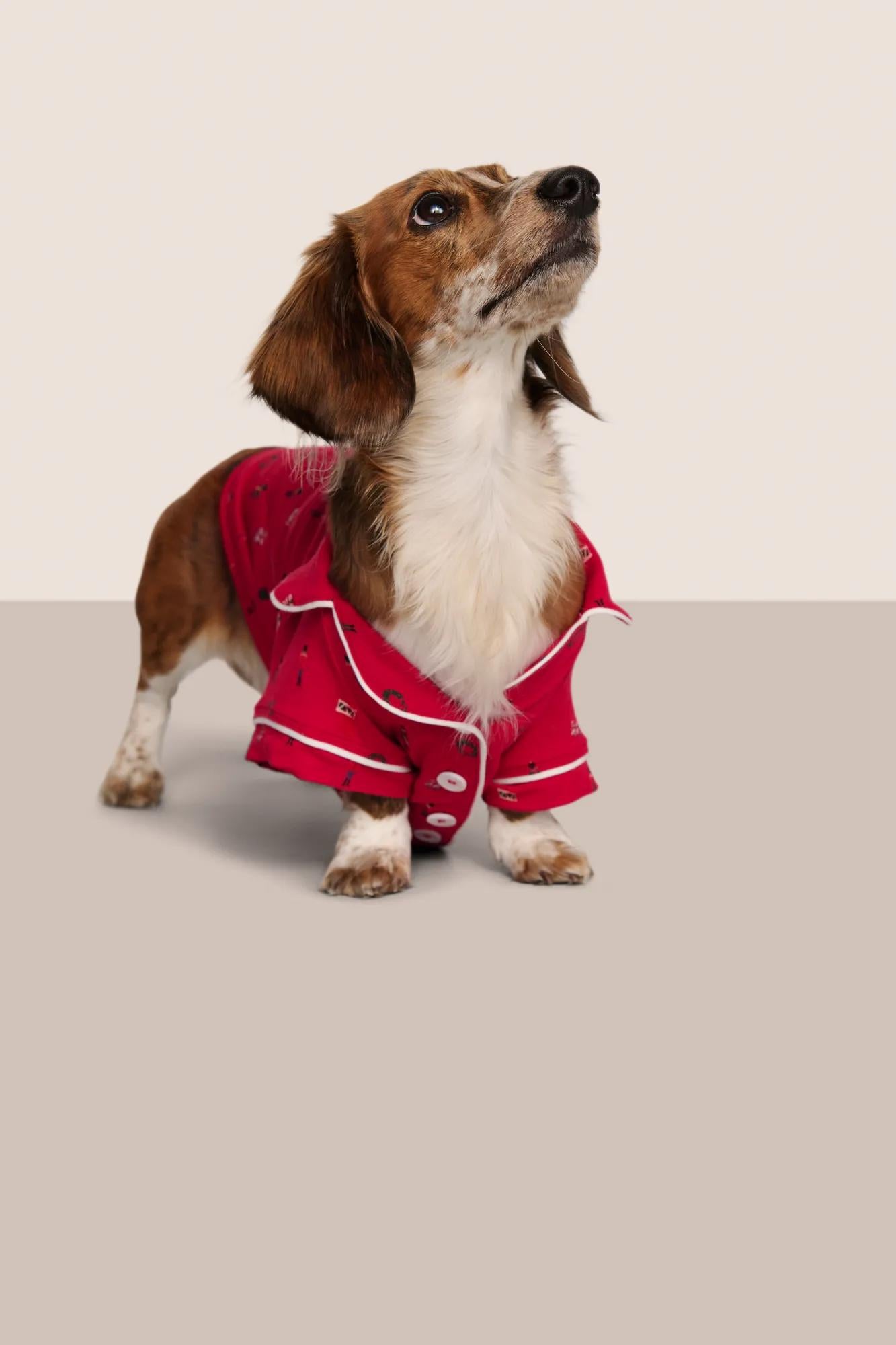 Model is wearing Gisele Printed TENCEL™ Modal Pet PJ  in Nutcracker Holly Red/Ivory