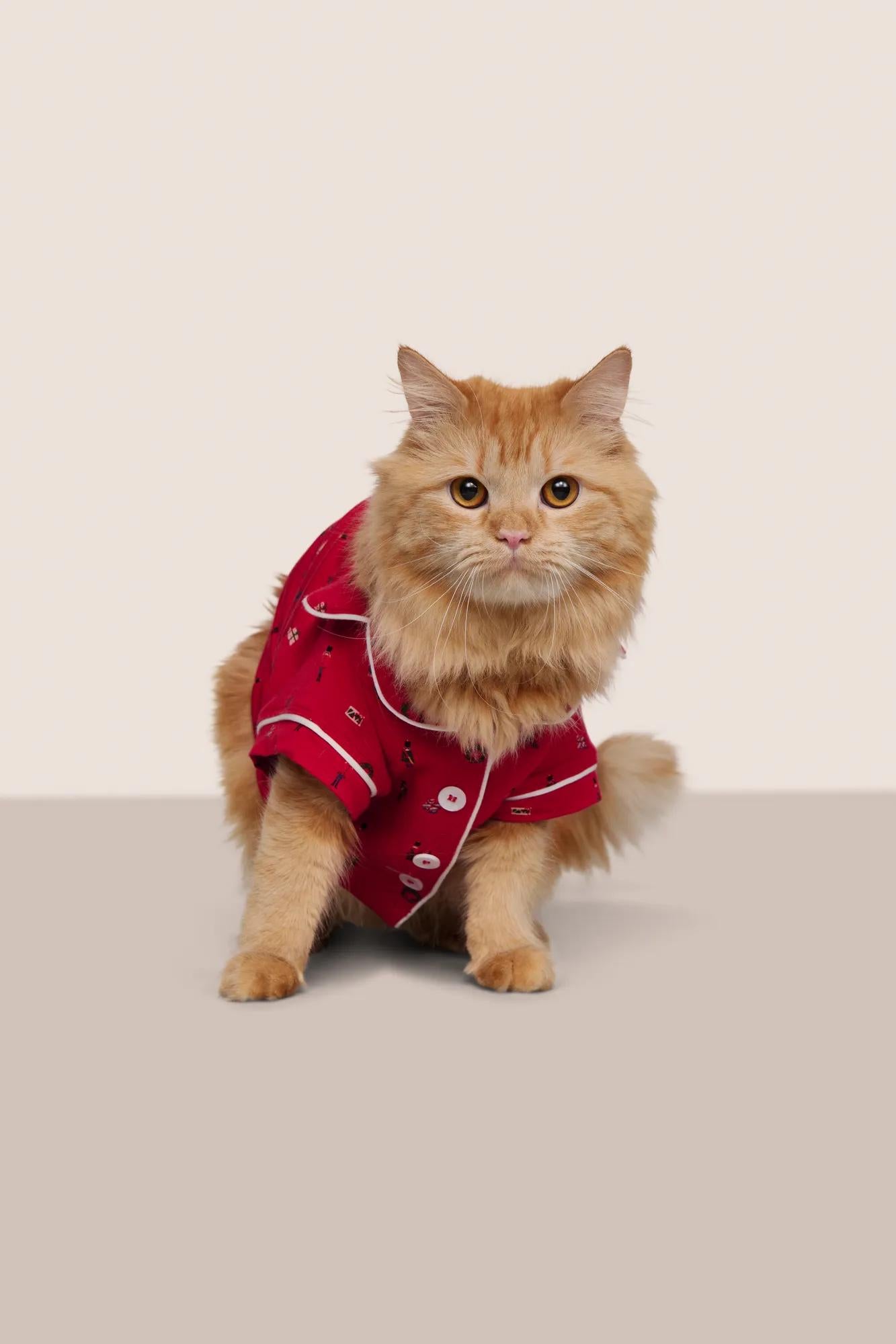 Model is wearing Gisele Printed TENCEL™ Modal Pet PJ  in Nutcracker Holly Red/Ivory