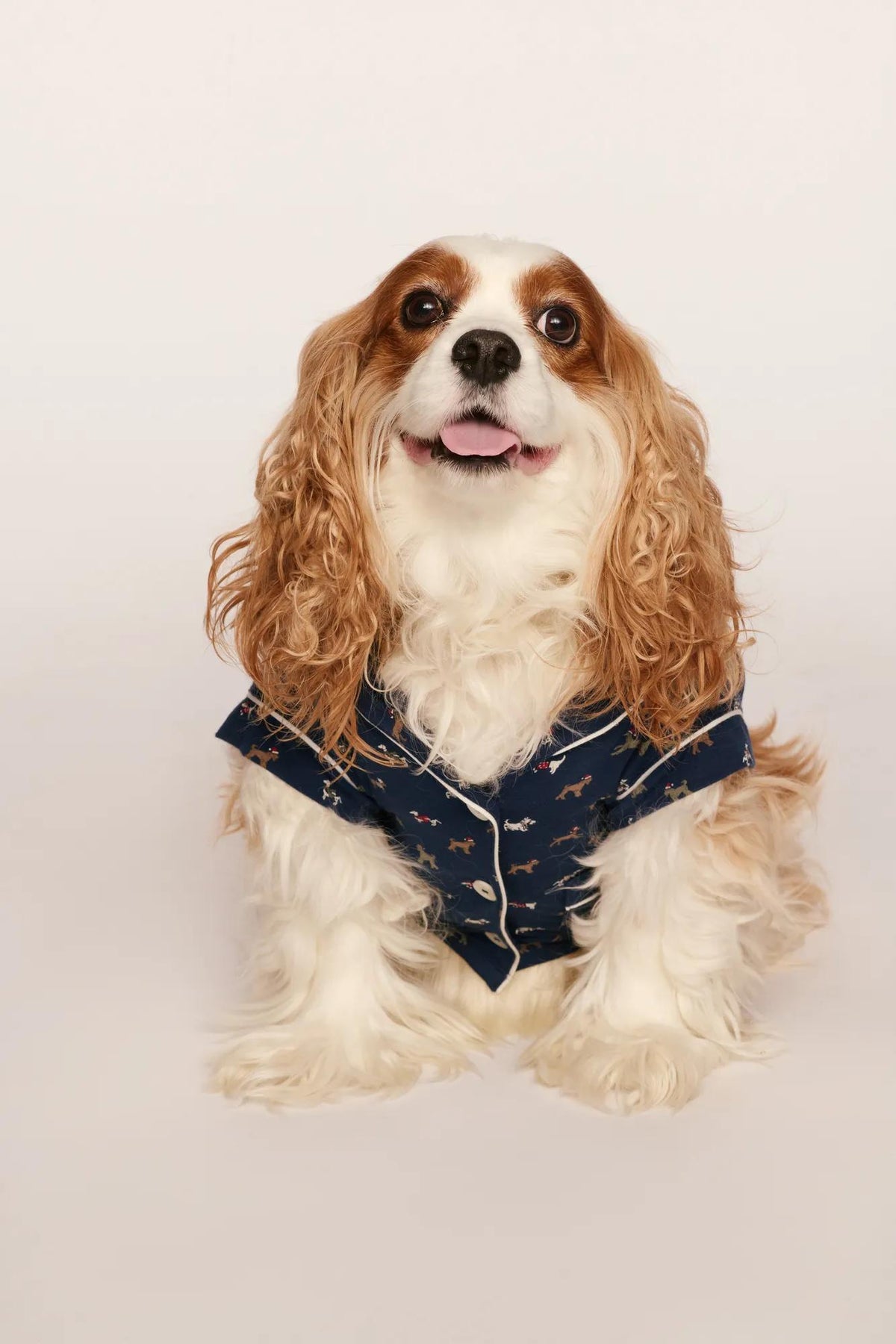 Model is wearing Gisele Printed TENCEL™ Modal Pet PJ in Santa Paws Navy/Ivory