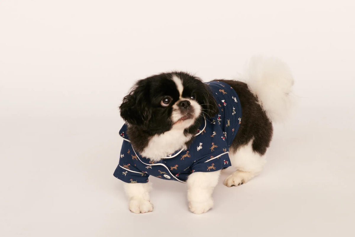 Model is wearing Gisele Printed TENCEL™ Modal Pet PJ in Santa Paws Navy/Ivory
