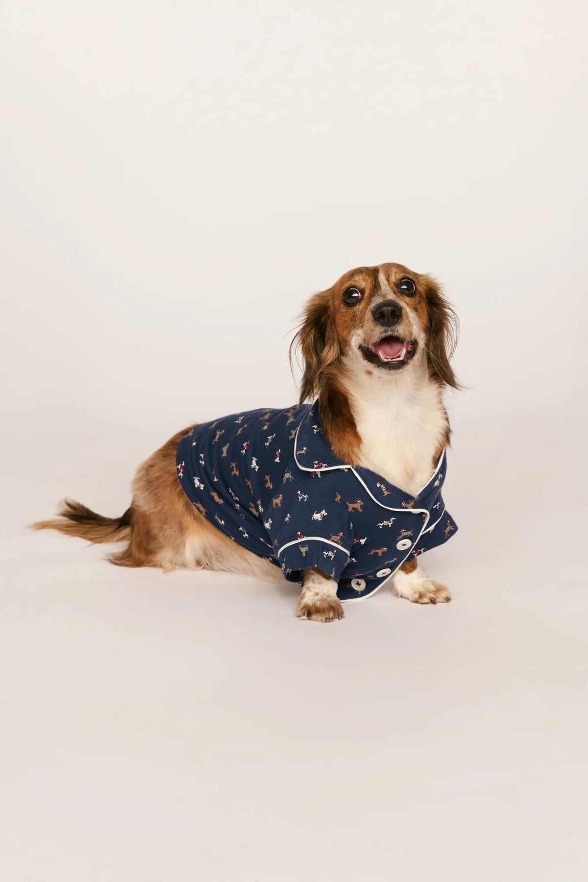 Model is wearing Gisele Printed TENCEL™ Modal Pet PJ in Santa Paws Navy/Ivory