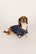 Model is wearing Gisele Printed TENCEL™ Modal Pet PJ in Santa Paws Navy/Ivory